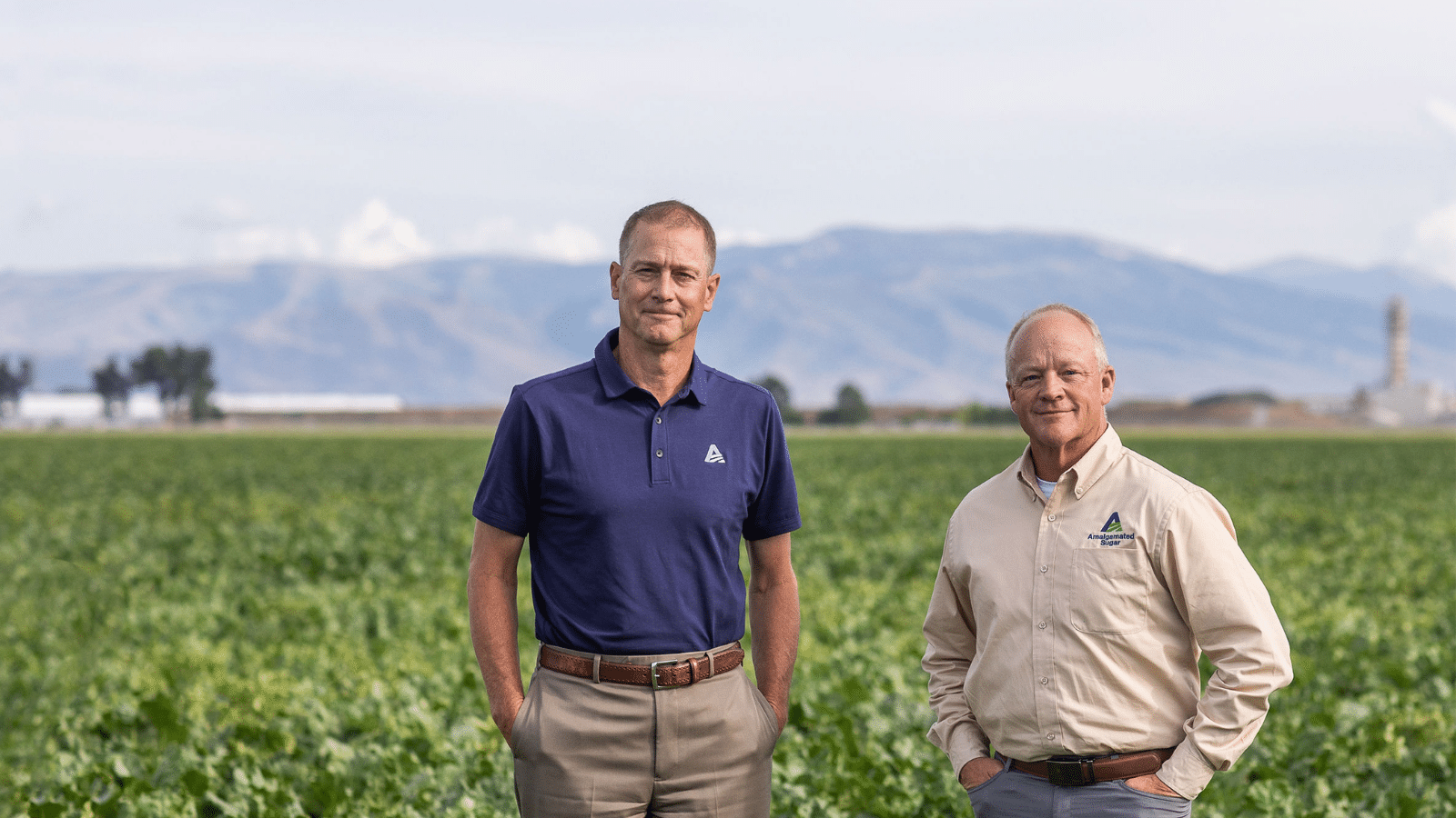 Amalgamated Sugar Launches New Logo – Amalgamated Sugar, image size:1600x900